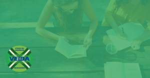 Veida Studiebegeleiding achterhoek